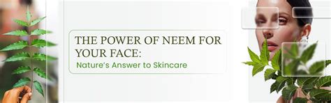 The Power of Neem for Your Face: Nature’s Answer to Skincare – Rosa ...
