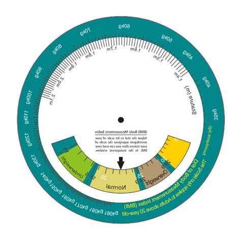 Buy Portable Wheel Calculator BMI Body Mass Index Wheel Calculator ...