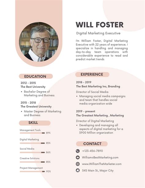 Modern Resume CV Template With Photo White Pink - Etsy