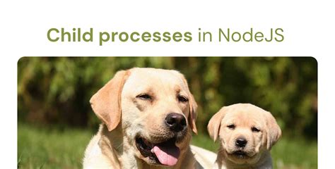 JavaScript Child Process 的图像结果