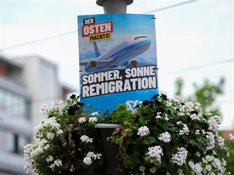 What is remigration, the far-right fringe idea going mainstream ...