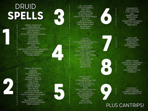 Dnd 5e Spell Cards Pdf for Druids | Printable Dnd Spell Book | SRD ...