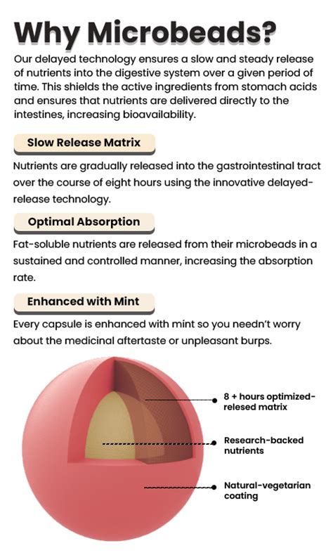 Slow Time Release Capsules For Long-Lasting and Sustained Nutrition ...