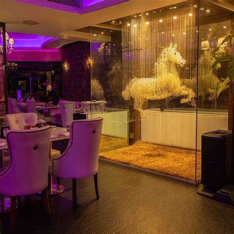 The 10 Best Vegetarian Restaurants in Lonavala (Updated 2026)