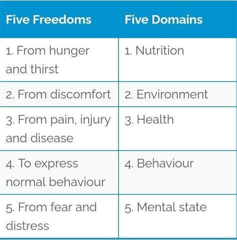What are the 5 domains of life? - Brainly.in