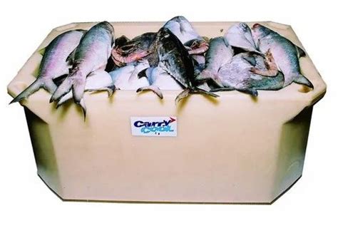 Carry Cool Enterprise - Manufacturer from Erandwane, Pune, India | Profile