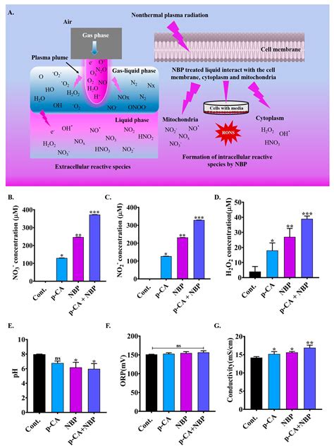 Enhancing Ferroptosis in Lung Adenocarcinoma Cells via the Synergistic ...