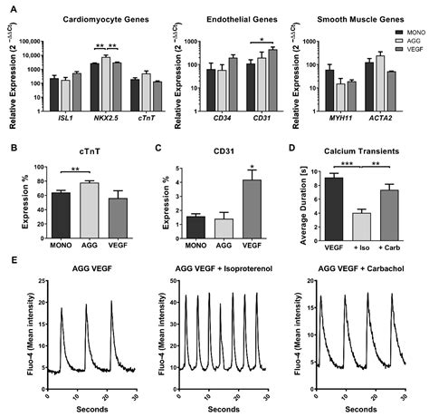 Cost-Effective Mechanical Aggregation of Cardiac Progenitors and ...