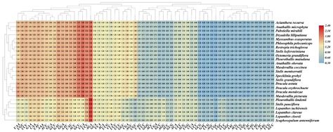 Chloroplast Genome Evolution in Pleurothallidinae (Orchidaceae ...