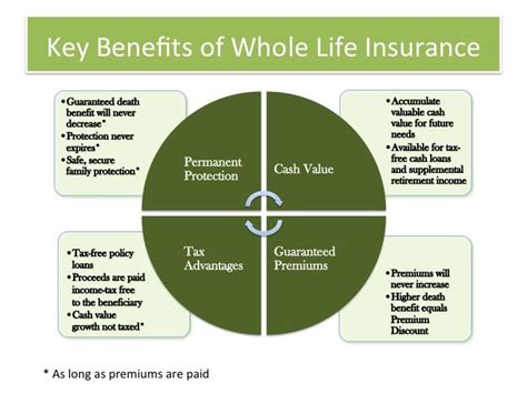 Best Whole Life Insurance Policies for Building Cash Value