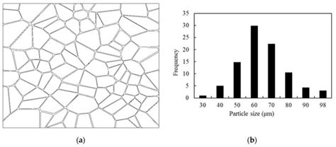 Modelling Microstructural Deformation and the Failure Process of ...