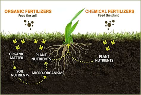 Fertilizers - Agriculture Notes