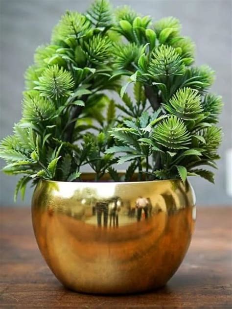 Greenele Golden Electroplated Plants Pots Designer Pots for Indoor ...