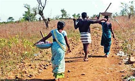 TN government to appoint ombudspersons in 14 districts to improve ...