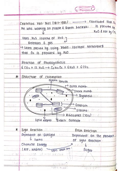 Photosynthesis in Higher Plants Notes PDF | Biology Short