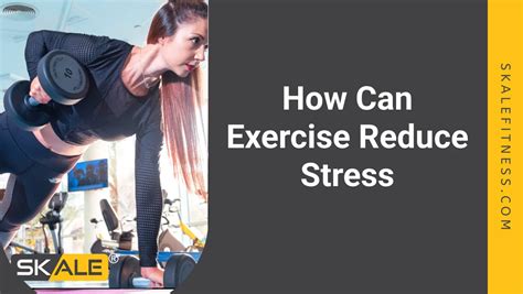 Exercise for Stress 的图像结果