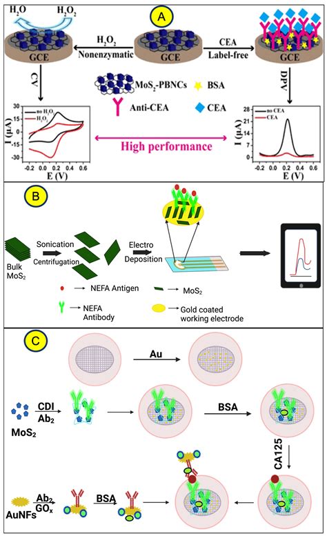 Recent Progress in Transition Metal Dichalcogenides for Electrochemical ...
