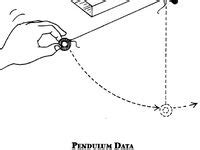 Pendulum Experiments 的图像结果