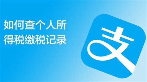 个税app怎么查个人所得税交了多少 个税app查询缴税记录