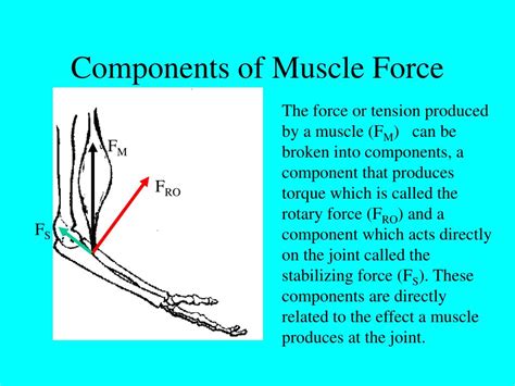 Vector Components 的图像结果