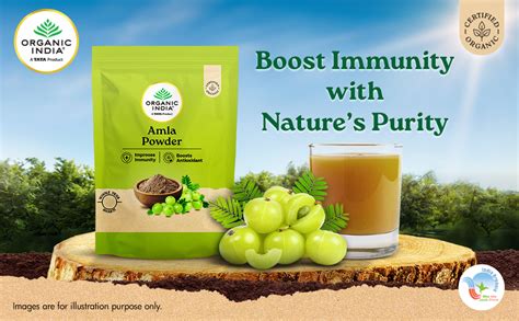 A TATA Product - Organic India Amla Powder, 200g, Whole Hera, Improves ...
