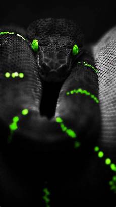 Black Girly Iphone Wallpaper Hd by 30 Hd Black Iphone Wallpapers Black Girly Iphone Wallpaper Hd