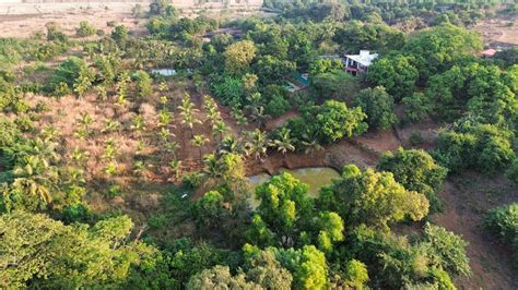SUR LAKE RESORT Diveagar - Reviews, Photos & Offer