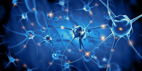 Image result for Neural Control Mechanism