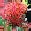 Image result for Heuristic Problem Sample