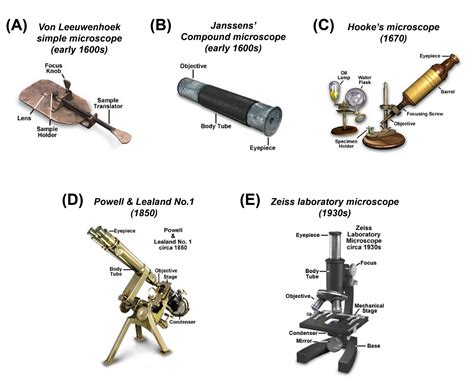 Types Of Microscopes