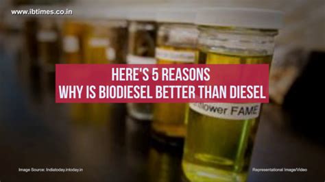 International Bio-diesel Day: Why Bio-diesel is better than diesel ...