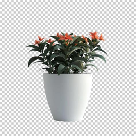 Plant pot flower monstera deliciosa cactus boston fern nephrolepis ...