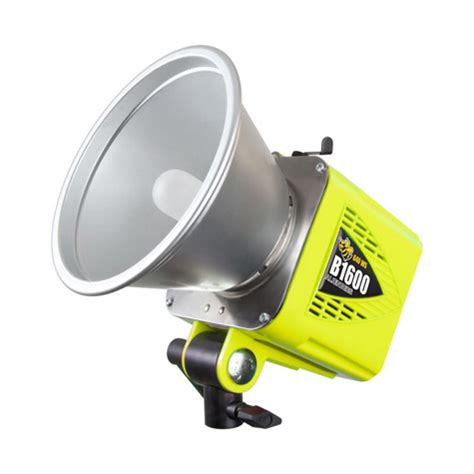 Alien Bee How Light to Use 的图像结果