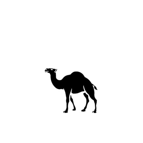 Llama
