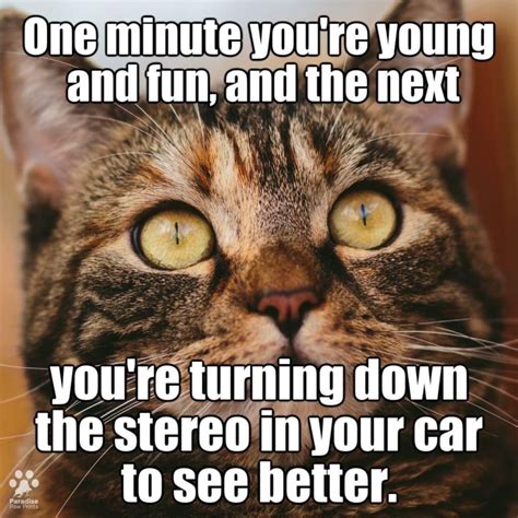 Funny Animal Quotes, Funny Animal Pictures, Animal Memes, Funny Animals ...
