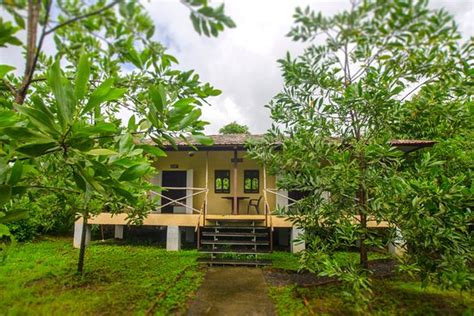 JENJON WOOD COUNTY, PHANSAD (Kharkhardi) - Cottage Reviews, Photos ...