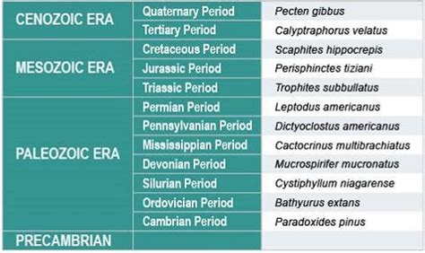 Which conclusion about Paradoxides pinus is supported by the ...