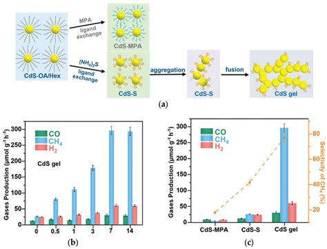 Gels in Heterogeneous Photocatalysis: Past, Present, and Future