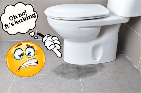How to Fix a Leaky Toilet? – Pete's Tools