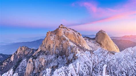 必应图库 的图像结果