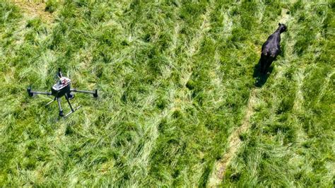 University of Kentucky to explore drone technology for livestock management