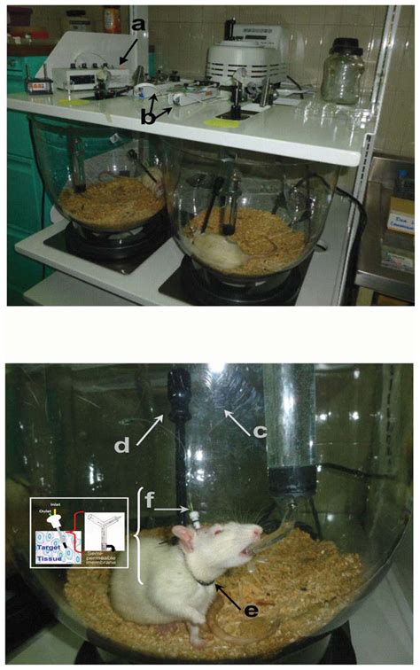 Contributions of Microdialysis to New Alternative Therapeutics for ...