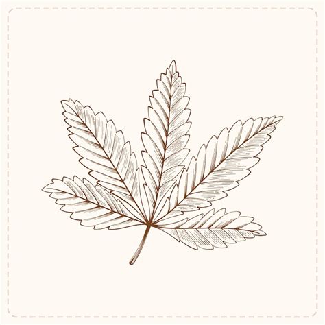 Rysunek liscia klonu Zdjęcia - darmowe pobieranie na Freepik