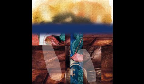 We have no uniform system of public library administration: Navtej ...