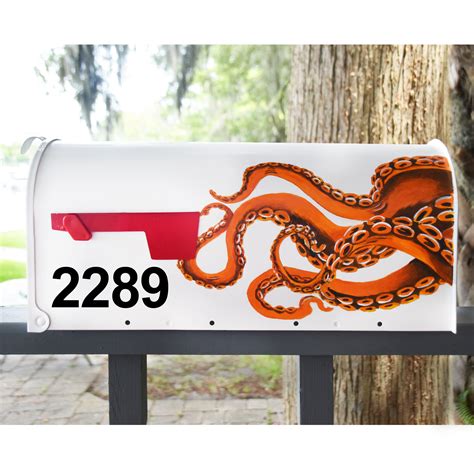 Image result for Mail Box Octopus