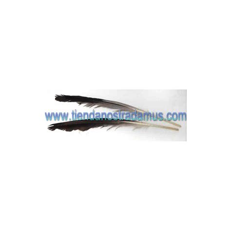 Aqui encontraras los articulos que buscas para tus rituales de magia