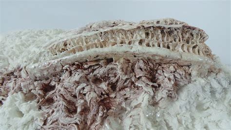 Ceramics and art: an interview with Puducherry-based potter Ray Meeker ...