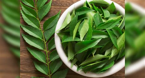 10 reasons you must use curry leaves in your food daily