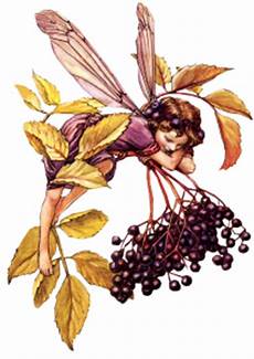 fiori e fate fate et fiori gif e animazioni fiori e fate fate et fiori gif e animazioni