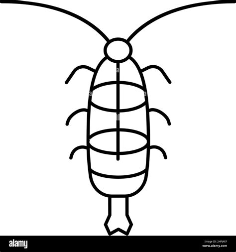 Zooplankton Drawing